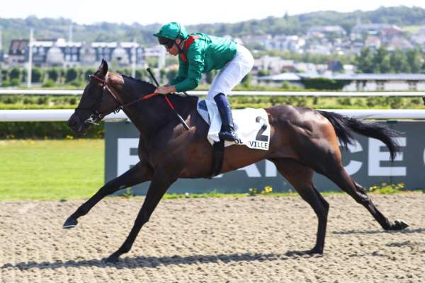 Photo de NARISSA cheval de PLAT