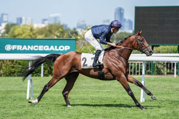 La photo de Pearled Majesty Arrivée Prix Eugène Adam (Gr.II) à Saint-Cloud