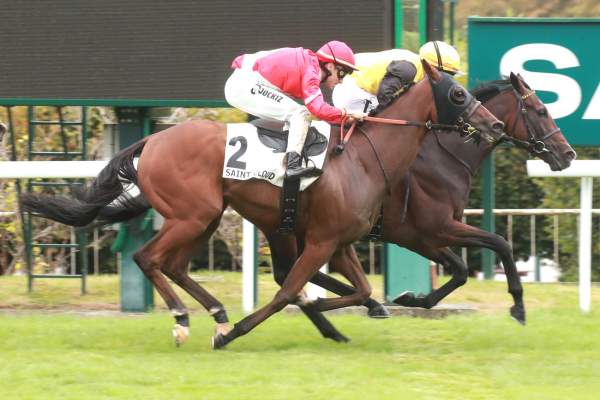 Photo de SIM CARD cheval de PLAT