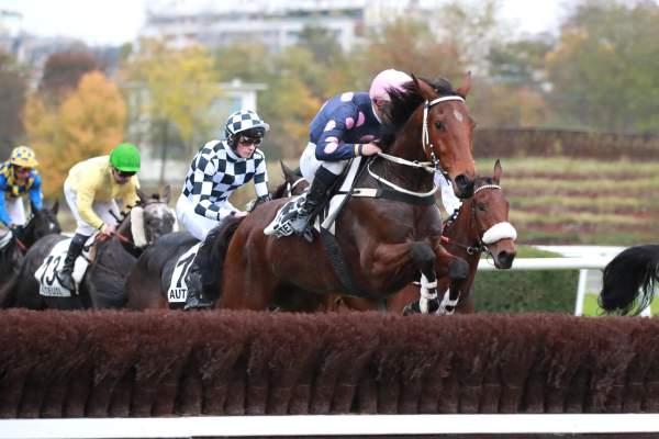 Photo de SOBEST cheval de STEEPLE CHASE