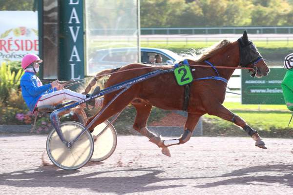 Photo de LUGANO DE HOUELLE cheval de TROT ATTELE