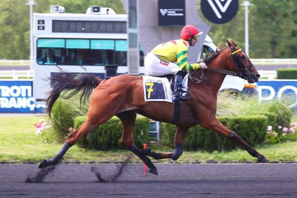 Photo de IMPALA DE VAL cheval de TROT MONTE