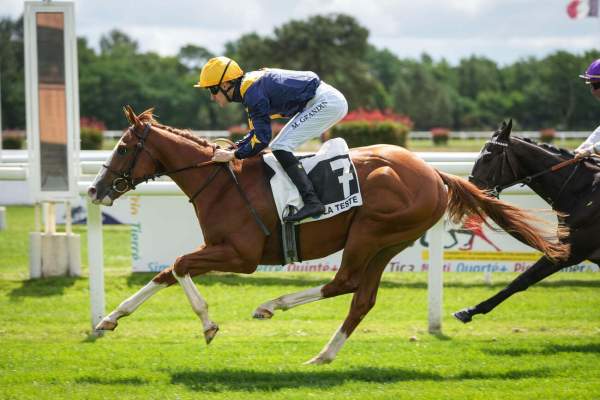 Photo de JUMBOTRON cheval de PLAT