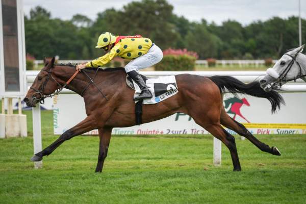 Photo de NERON DE LA BRUNIE cheval de PLAT