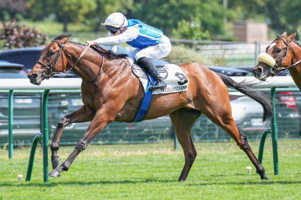 Photo de NIGHTTIME cheval de PLAT