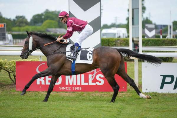 Photo de VICTOIRE MAGIQUE cheval de PLAT