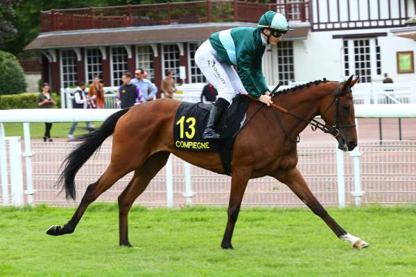 Photo de LILLY'S LIGHT cheval de PLAT