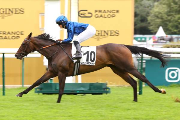 Photo de LA BONITA cheval de PLAT