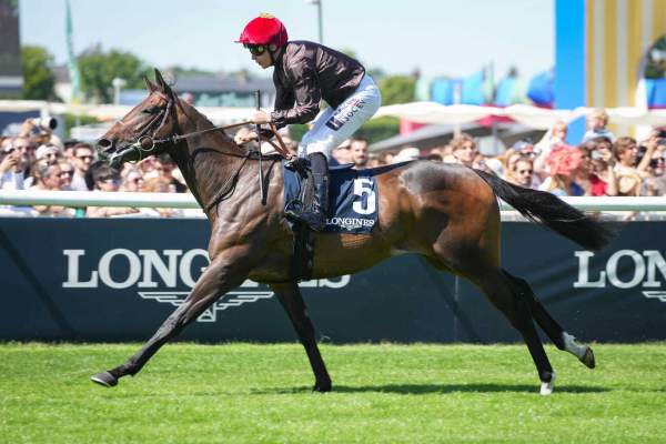 Photo de PINK PANTHERA cheval de PLAT