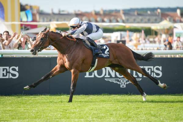 Photo de SPACE WALTZ cheval de PLAT