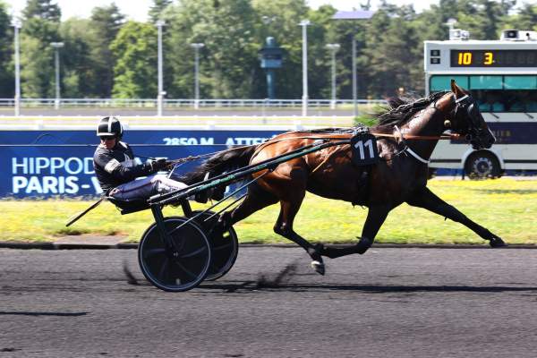 Photo de LUNIK DU CHOQUEL cheval de TROT ATTELE