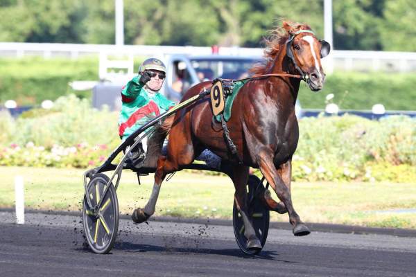 La photo de Mentor De Play Arrivée PMU Prix Raymond Fouard à Vincennes
