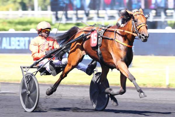 La photo de Nocive Du Choquel Arrivée PMU Prix Albert Viel 2026 à Vincennes
