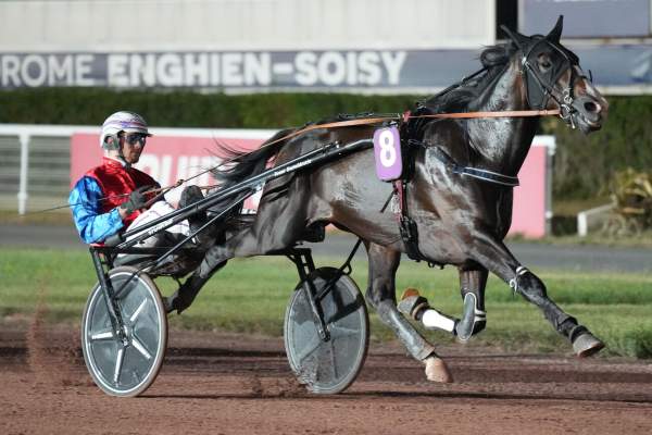 Photo de NUEVO cheval de TROT ATTELE