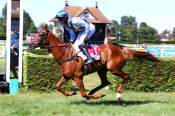 La photo de Doctorino Arrivée pmu Prix Port Saïd à Clairefontaine