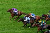 La photo de Great Barrier Reef arrivée pmu Coventry Stakes (Gr.II) à Royal Ascot