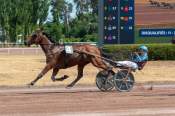 La photo de Indy Des Bots arrivée pmu Bessay sur Allier à Vichy
