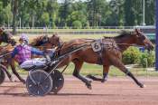 La photo de Kir Royal Arrivée pmu Prix de Saint-Gaudens à Enghien-Soisy