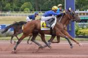 La photo de Look Du Parcq Arrivée pmu Prix de Vesoul à Enghien-Soisy