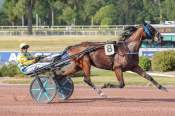 La photo de Love You Phyt's arrivée pmu Prix de la Porte Saint-martin à Enghien-Soisy
