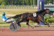 La photo de Pure Steel arrivée pmu Prix du Pont Louis-Philippe à Enghien-Soisy