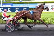 La photo de Nevale Vet 