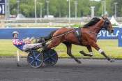 La photo de Mystic D'yvel