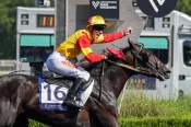 La photo de NINJA DE L'ENVOL Arrivée PMU Prix d'Essai - Etrier 3 Ans Finale 2026 à Vincennes
