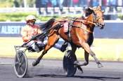 La photo de Nocive Du Choquel Arrivée PMU Prix Albert Viel 2026 à Vincennes