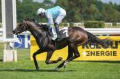 La photo de Perceval