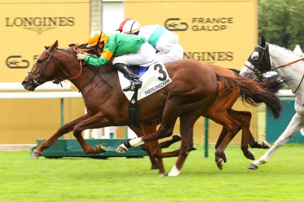 La photo de Herbal Arrivée pmu Prix de l'Athenee à ParisLongchamp