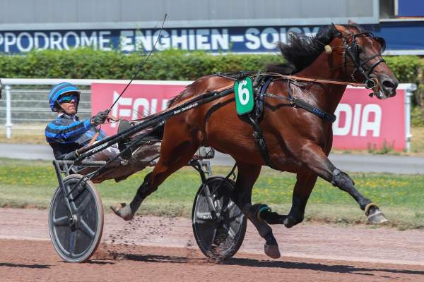 Photo de IDAO DE TILLARD cheval de TROT ATTELE