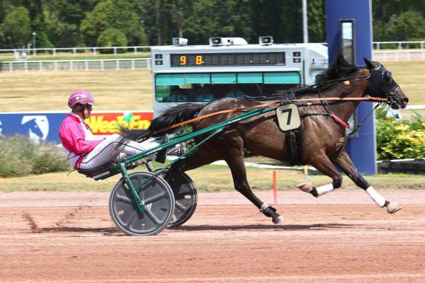 Photo de KLARCK DE VANDEL cheval de TROT ATTELE