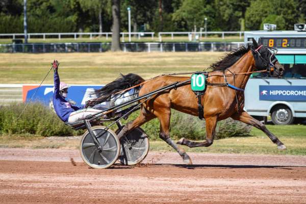 Photo de LASKO DES BROUSSES cheval de TROT ATTELE