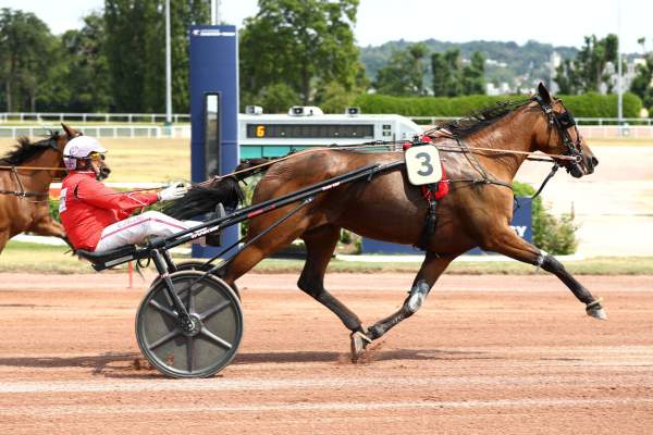 Photo de LISBETH DRY cheval de TROT ATTELE