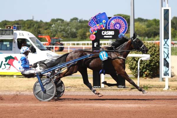 Photo de MADAME D'OURVILLE cheval de TROT ATTELE