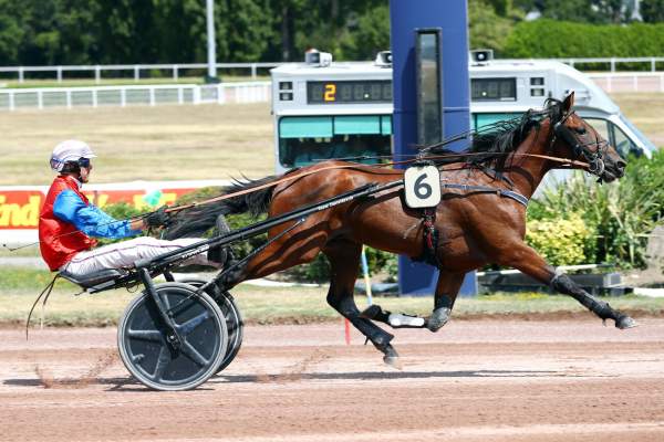Photo de ORIZON cheval de TROT ATTELE