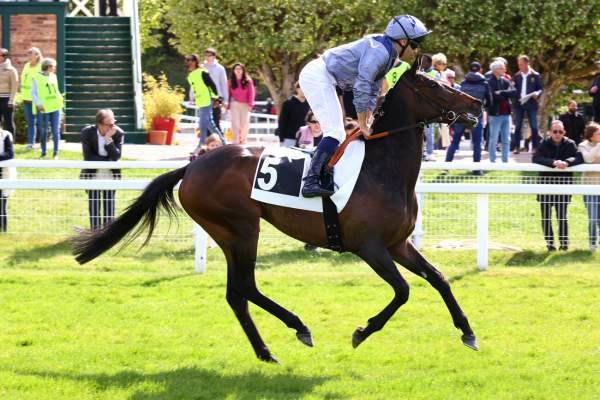 Photo de OSHIA cheval de PLAT