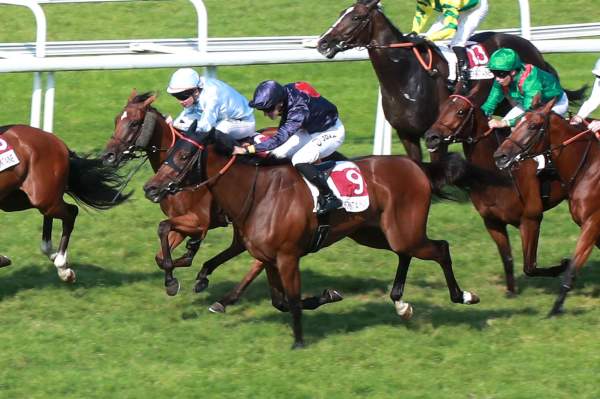 Photo de KEEN LADY cheval de PLAT