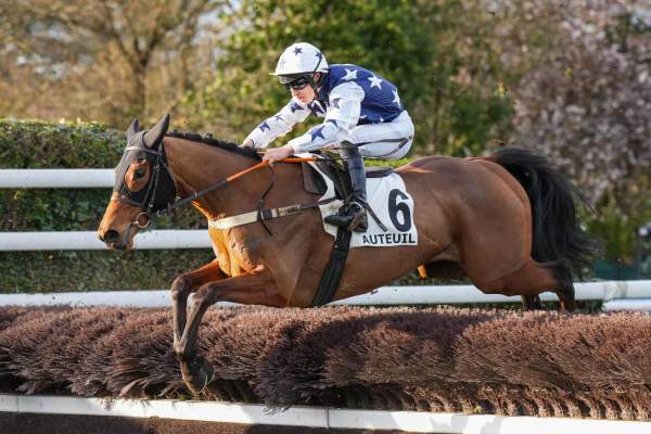 Photo de DEPRO cheval de HAIES