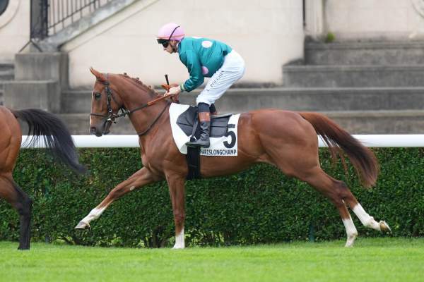 Photo de DOLLAR DES BOIS cheval de PLAT