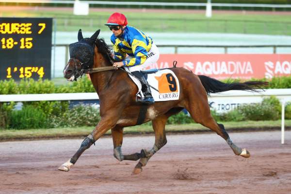 Photo de MONDAINE cheval de TROT MONTE