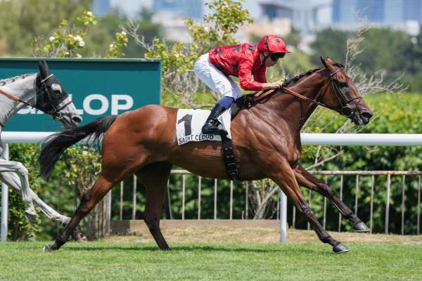Photo de MONT DE SOLEIL cheval de PLAT