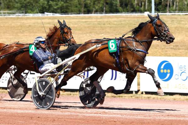 Photo de MAGNUM MESLOIS cheval de TROT ATTELE