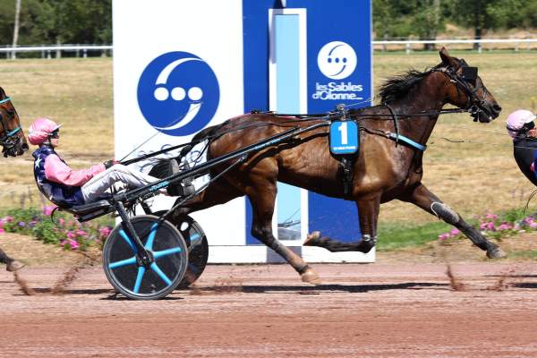 Photo de KEEPSAKE MOSSA cheval de TROT ATTELE