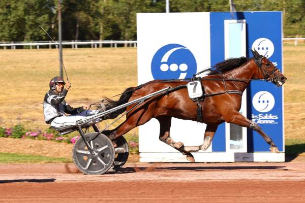 Photo de JACKPOT MEARAS cheval de TROT ATTELE