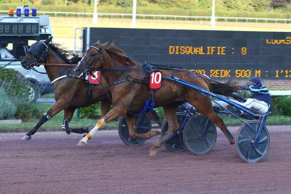 Photo de MUST DE BANVILLE cheval de TROT ATTELE