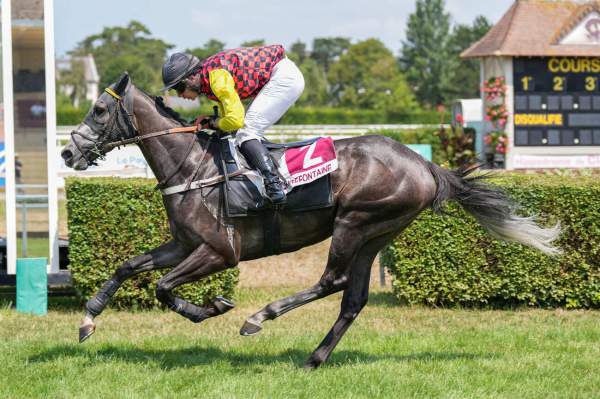 Photo de SENONNIAN cheval de HAIES