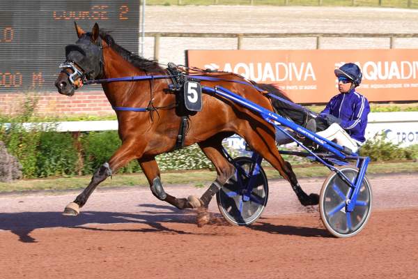 Photo de KARAMEL JOYEUX cheval de TROT ATTELE
