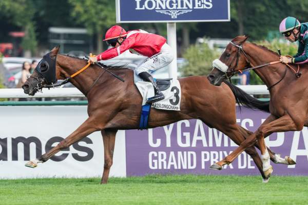 Photo de SIM CARD cheval de PLAT